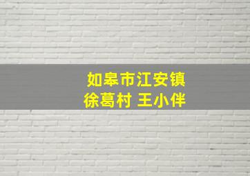 如皋市江安镇徐葛村 王小伴